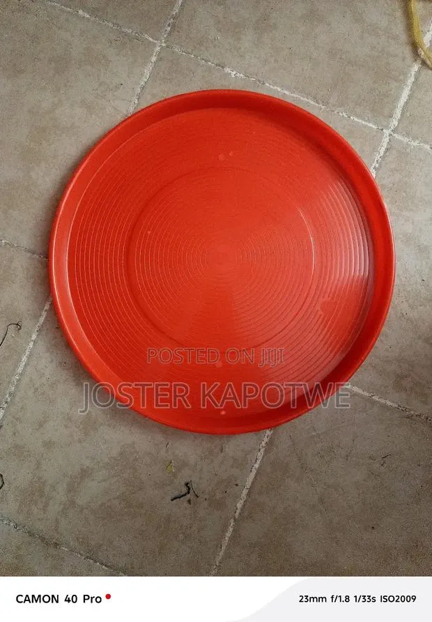 Chicks Trays · Photo 1