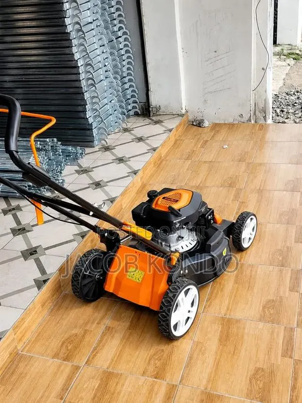 Gasoline Lawnmower 5hp · Photo 1