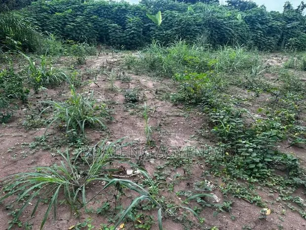 Half Plot for Sale at Asonomaso Nkwanta SAFO · Photo 1