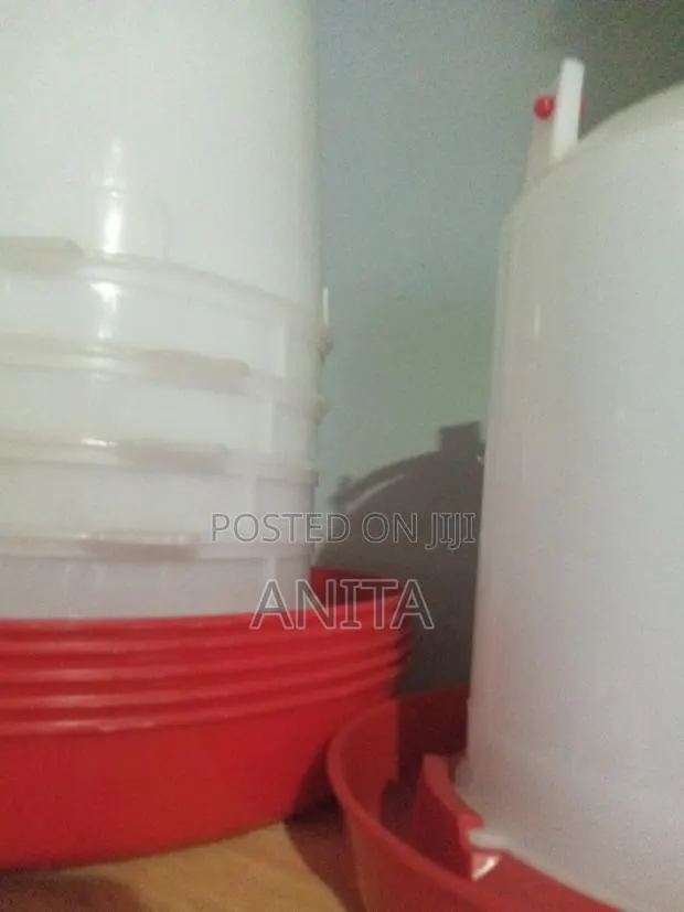 Chicken Drinkers · Photo 1