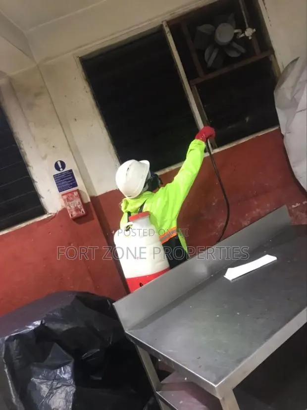Esereso/Gyinyase/Atomsu Fumigation With Cleantex · Photo 1