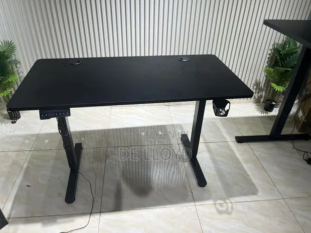 120 by 60 Electric Adjustable Table · Photo 1
