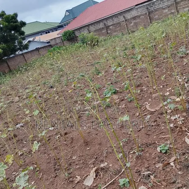 Land for Sall · Photo 1