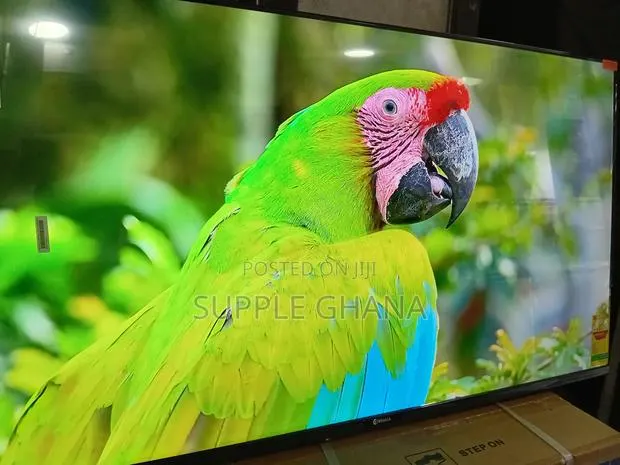 Sigma 55" Smart Television – Pure Visual Excellence · Photo 1