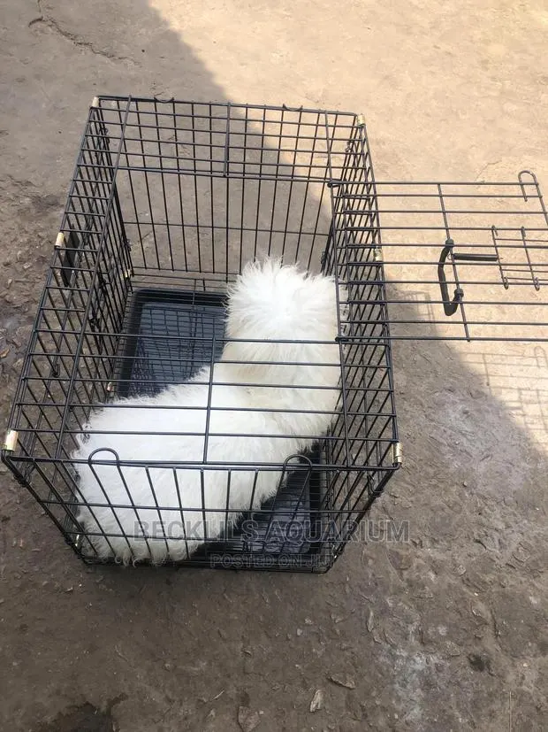 Cages For Dogs And Cat · Photo 1