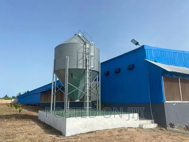 Modern Poultry Structure/House · Photo 1