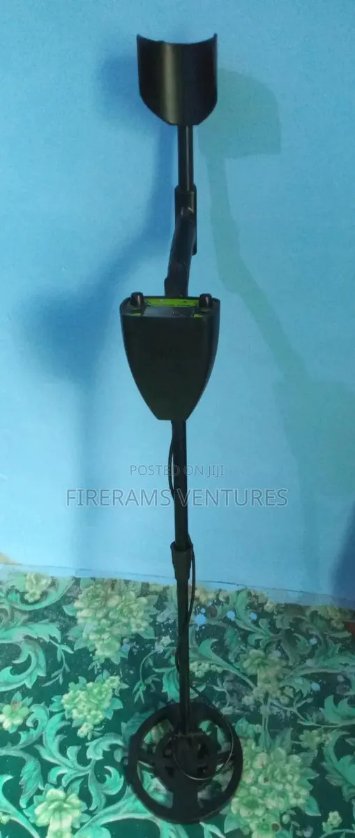 Gold/Metal Detector · Photo 1