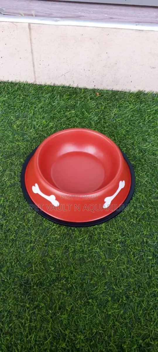 Dog Feeding Bowl · Photo 1