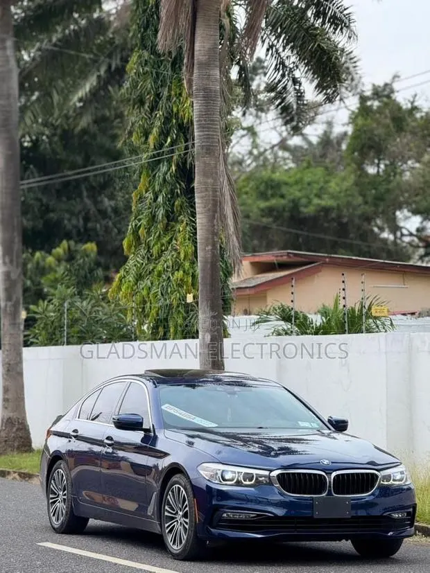 BMW 530i 2018 Blue · Photo 1