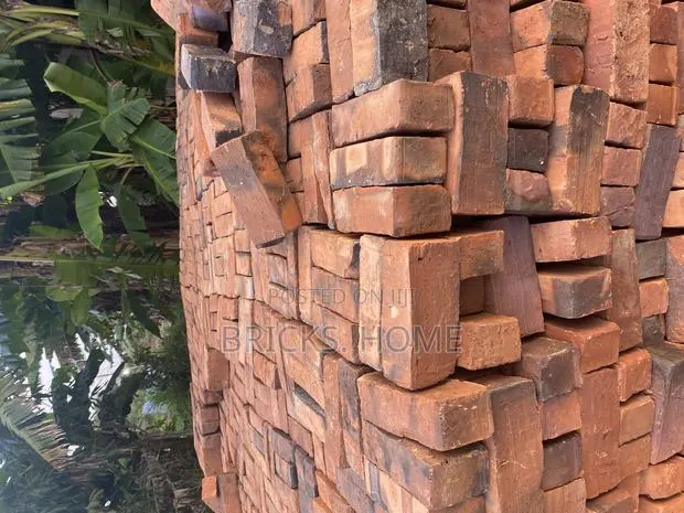 Solid No Holes Bricks for Pavement and Biogas · Photo 1