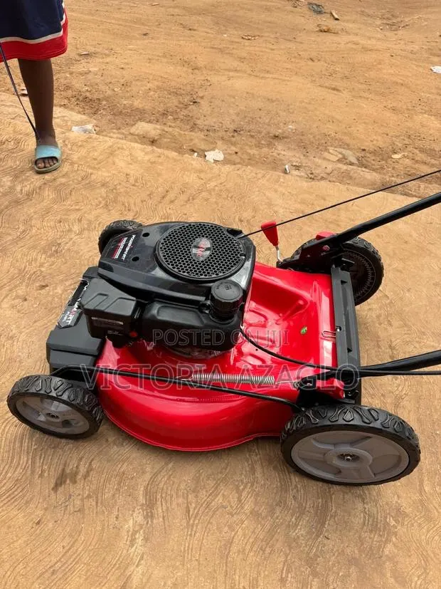 Cub Cadet SC 100 HW Push Lawn Mower · Photo 1