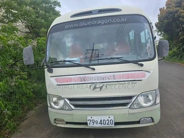 Hyundai County 2016 Grey · Photo 1