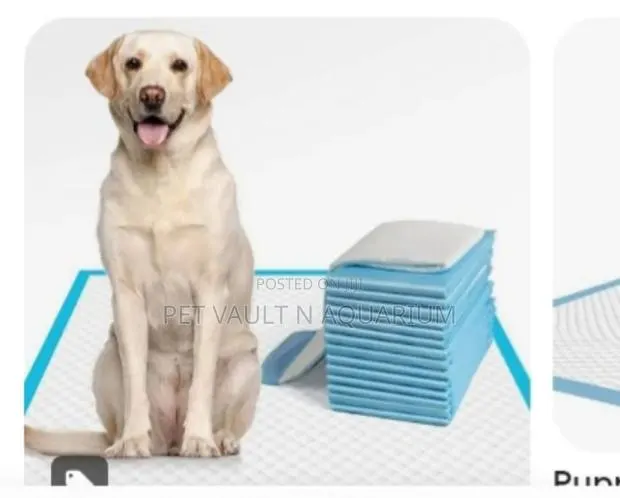 Large Pee Pads For Dog/Cat · Photo 1