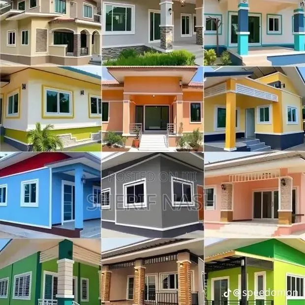 Professional Painter · Photo 1