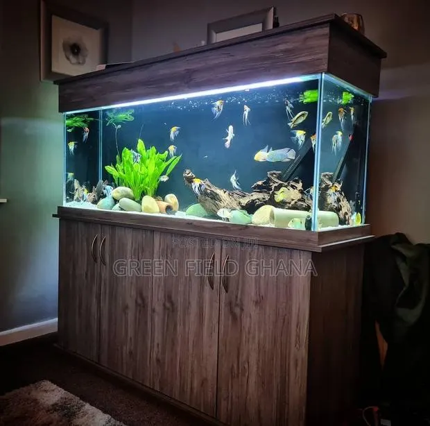 Aquarium Tanks and Fishes · Photo 1