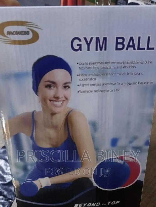 Portable Gym Balls · Photo 1