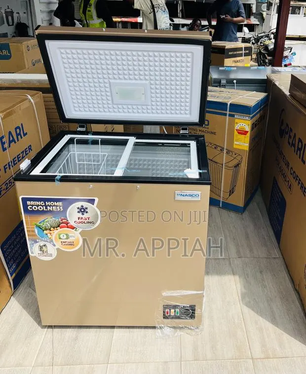 Premium Affordable Nasco Nas200fl 150L Chest (Gold) · Photo 1