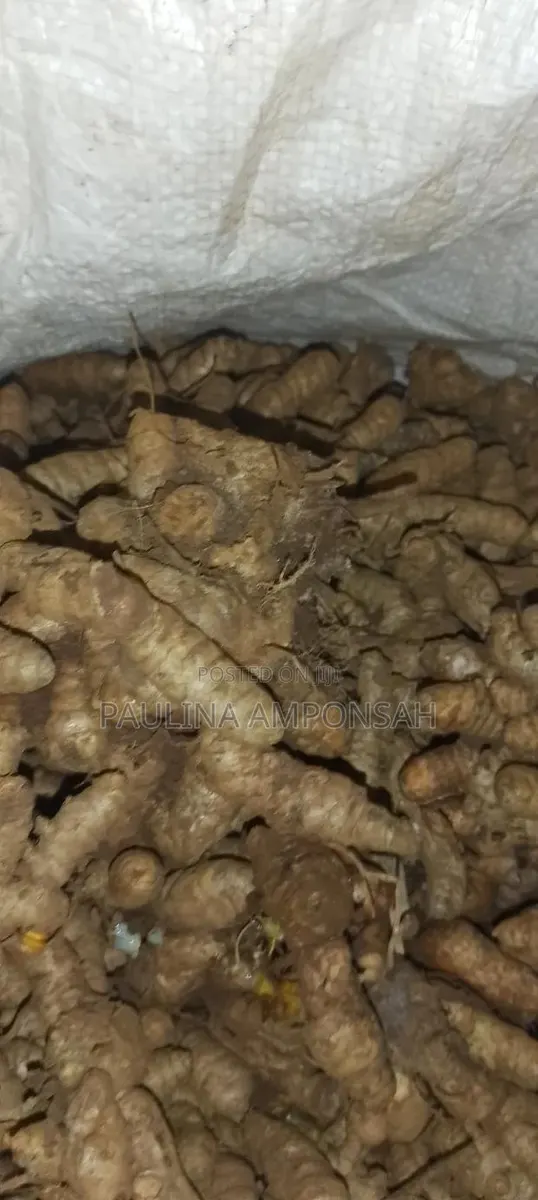 Tumeric for Sale in Large Quantities · Photo 1