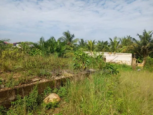 Registered 2 Plots of Land for Sale . · Photo 1