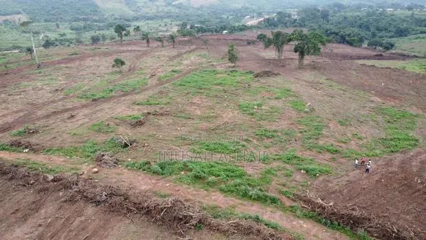 Plot of Land 70x100 at Dodowa · Photo 1