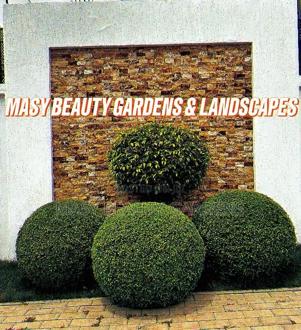 Masy Gardens N Landscaping · Photo 3