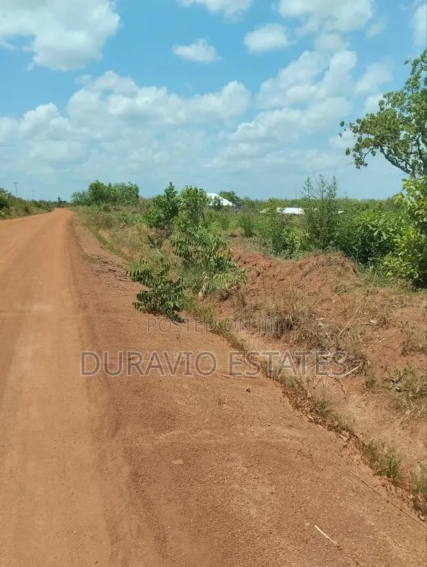 Affordable Farm Land in Nsuta · Photo 1
