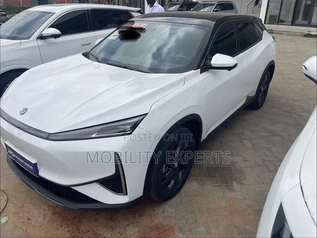 New Dongfeng EV EX1 2025 White · Photo 1