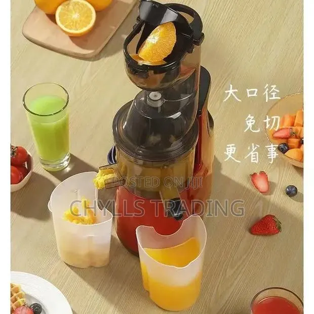 Slow Juicer · Photo 1