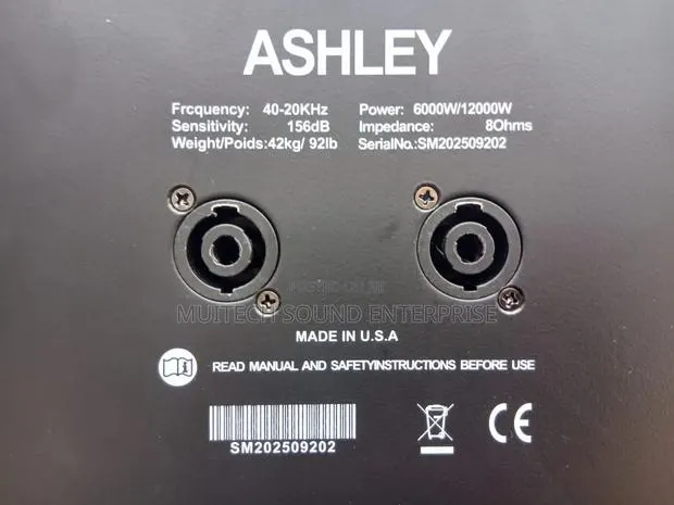 Ashley Line Array Speaker 10 Inches · Photo 8