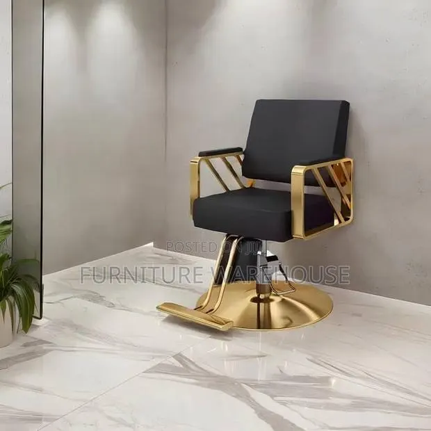 Salon Gold Styling Chair · Photo 1
