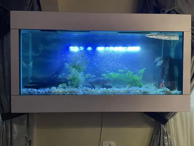 Wall Mount Aquarium · Photo 1