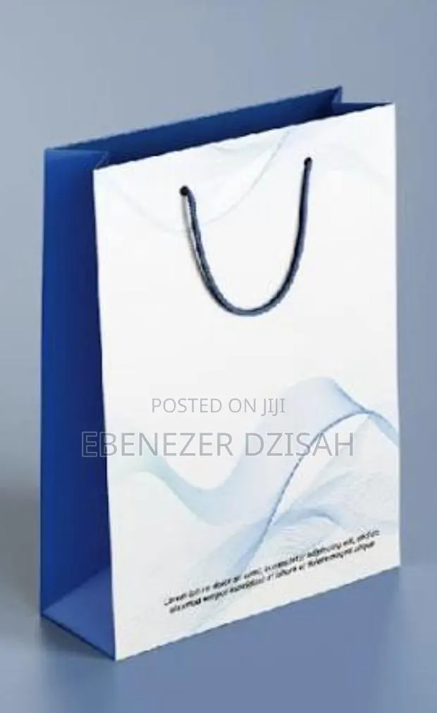 Paper Bag With Branding · Photo 1