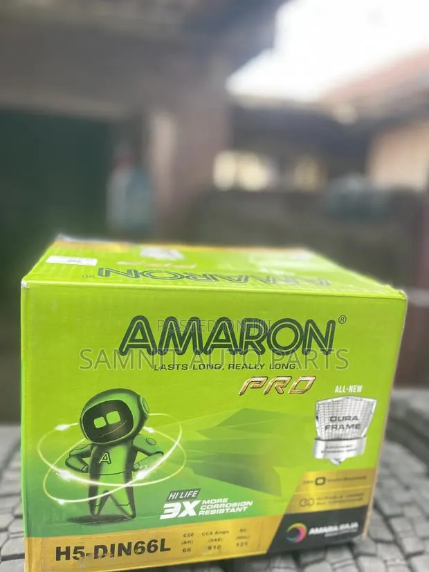 Amaron Plate 13 · Photo 1