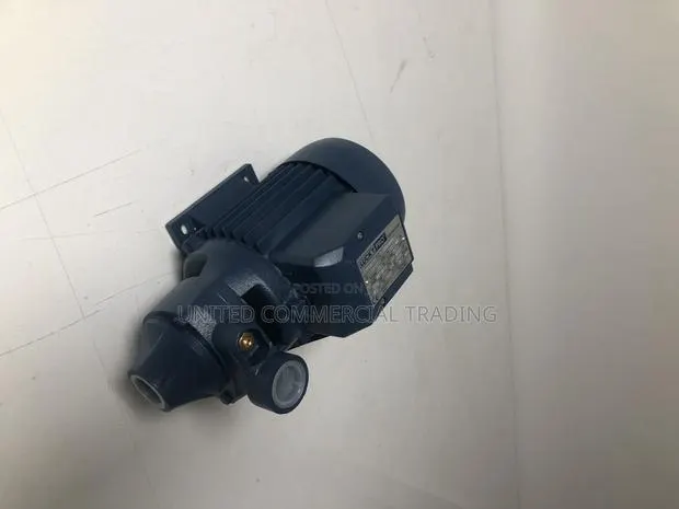 Water Pump (Lucky Pro MKP100) · Photo 1