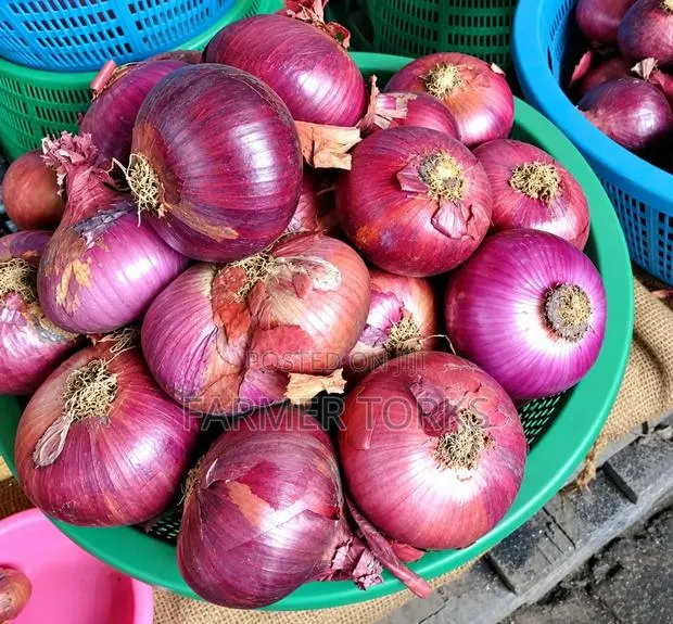 Basket of Onion · Photo 1