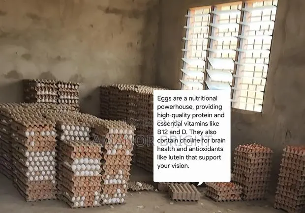 Quality and Healthy Fresh Eggs From Farm · Photo 1