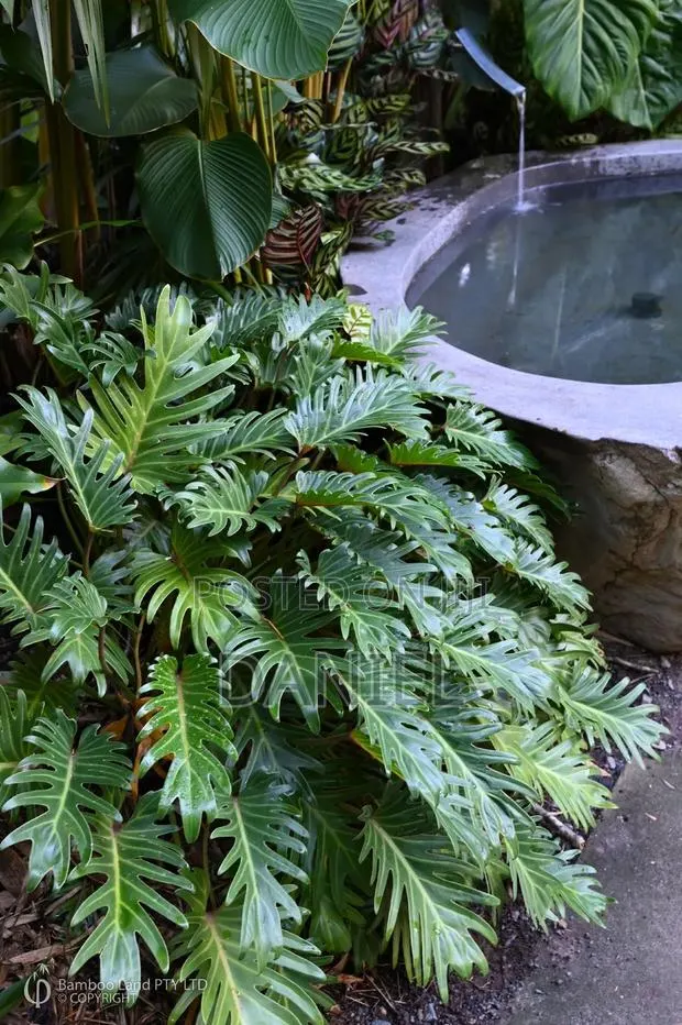Gardening Maintenance · Photo 1