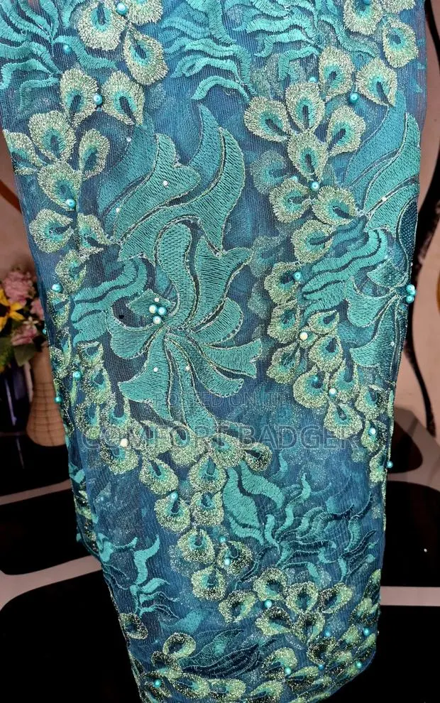 Classy Green Embroidery Net Lace · Photo 1