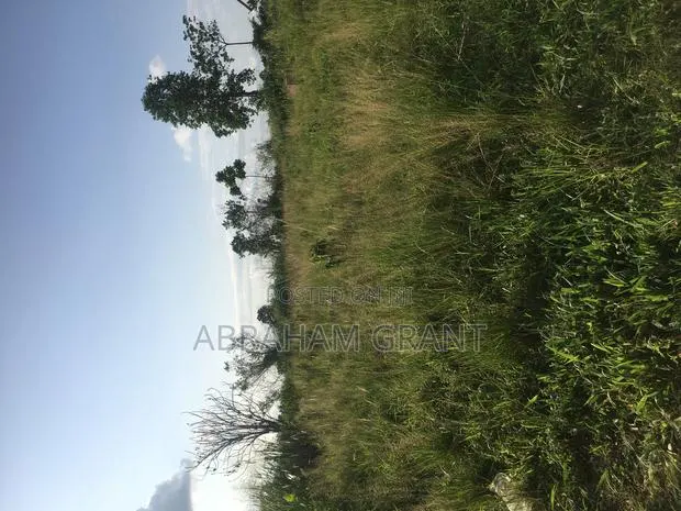Farm Land for Sale at Kumasi Afigyase Ntomkumso · Photo 1