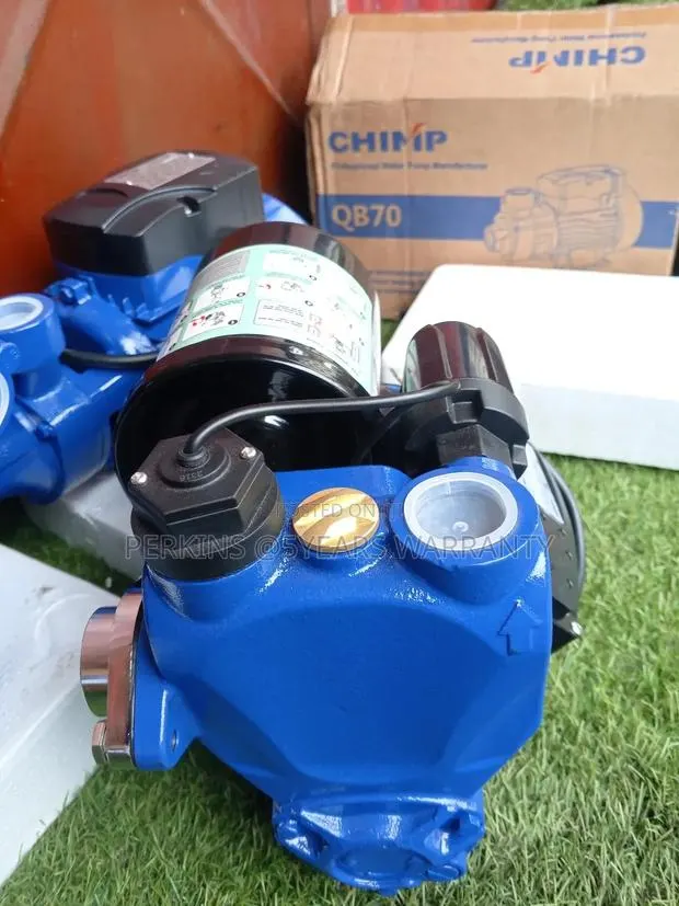 25WZB - 400W Chimp Water Pump · Photo 1