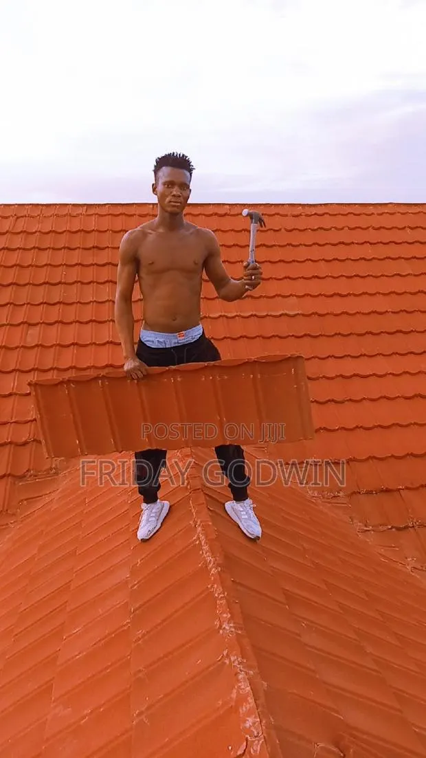 Euro Roofing Sheet · Photo 1