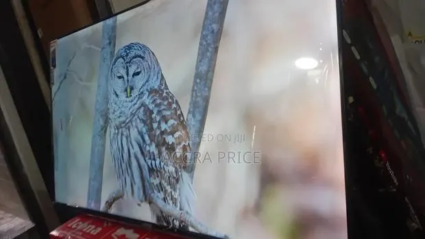 Pretty Pee Televisions 50inches Smart Asano Television · Photo 1