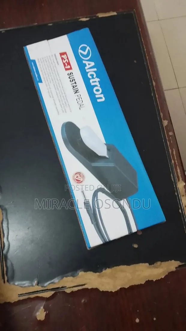 Alctron Sustain Pedal · Photo 1