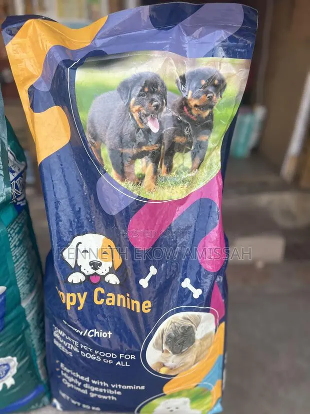 Happy Canine · Photo 1