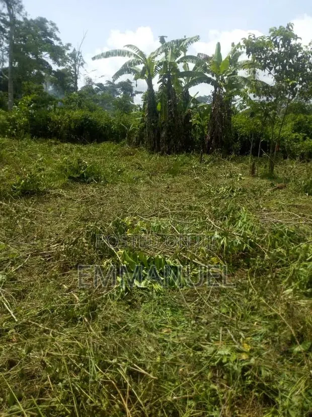 Four (4) Plots of Land for Sale · Photo 1