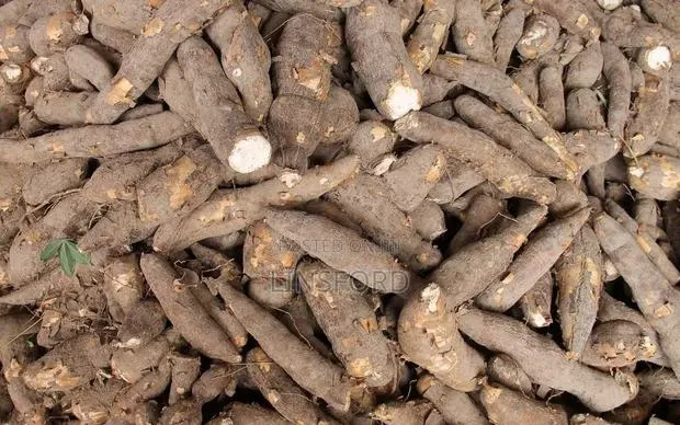 Quality and Cheap Gari and Cassava Available · Photo 1