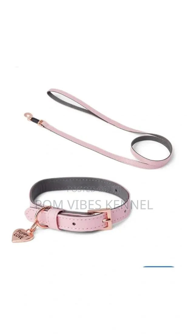 Just for Puppy Faux Leather Puppy Collar Lead Set Pink · Photo 1