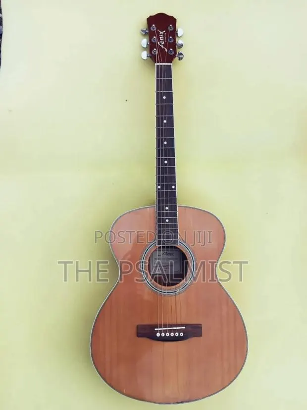 Fenix Fg10 Young Chang Acoustic Guitar · Photo 1