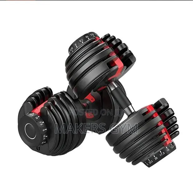 Dumbbell 40kg Pair Adjustable (Bow Flex) · Photo 1
