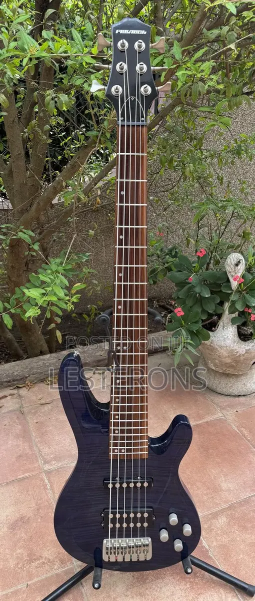 Custom Playtech 6 Strings Bass Guitar · Photo 1